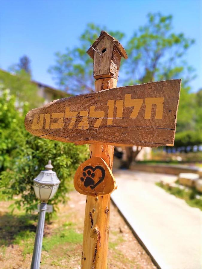חלון לגלבוע צימר בוטיק בעמק המעיינות Bet Alfa Exteriér fotografie