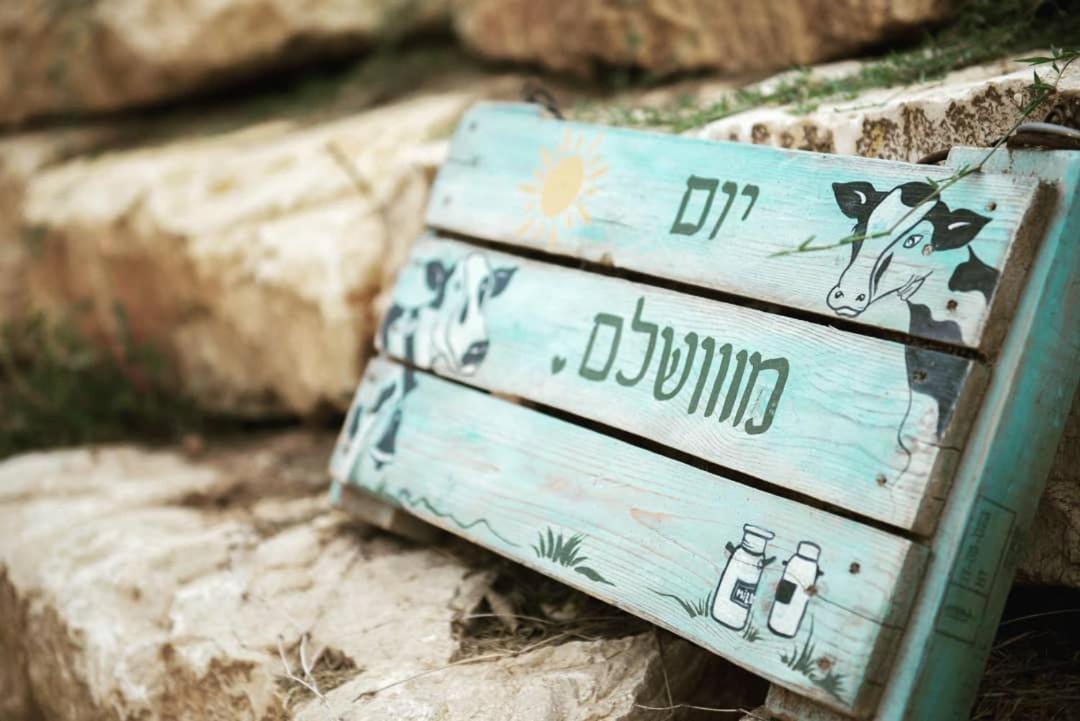 חלון לגלבוע צימר בוטיק בעמק המעיינות Bet Alfa Exteriér fotografie